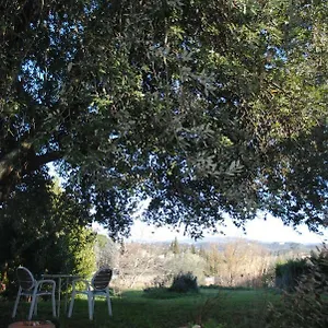  Appartement Fattoria Di Malavolta